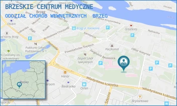 ODDZIAŁ CHORÓB WEWNĘTRZNYCH - BRZESKIE CENTRUM MEDYCZNE - UL. SERGIUSZA MOSSORA 1,  BRZEG
